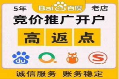某某SEM公司助力企业快速发展的成功故事